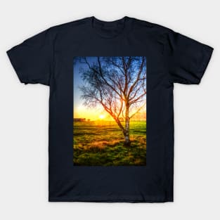 Birch Tree Yellow Sunrise Glow T-Shirt